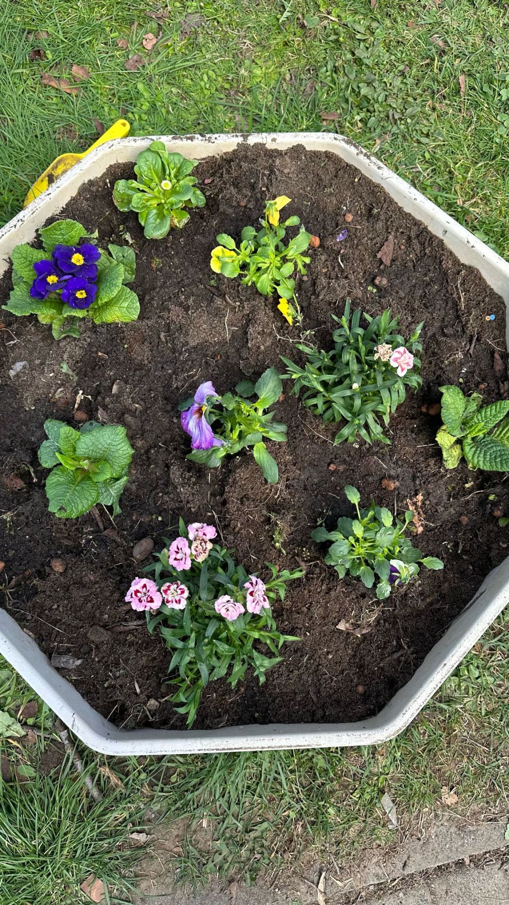 Der Frühling zieht&nbsp;ein